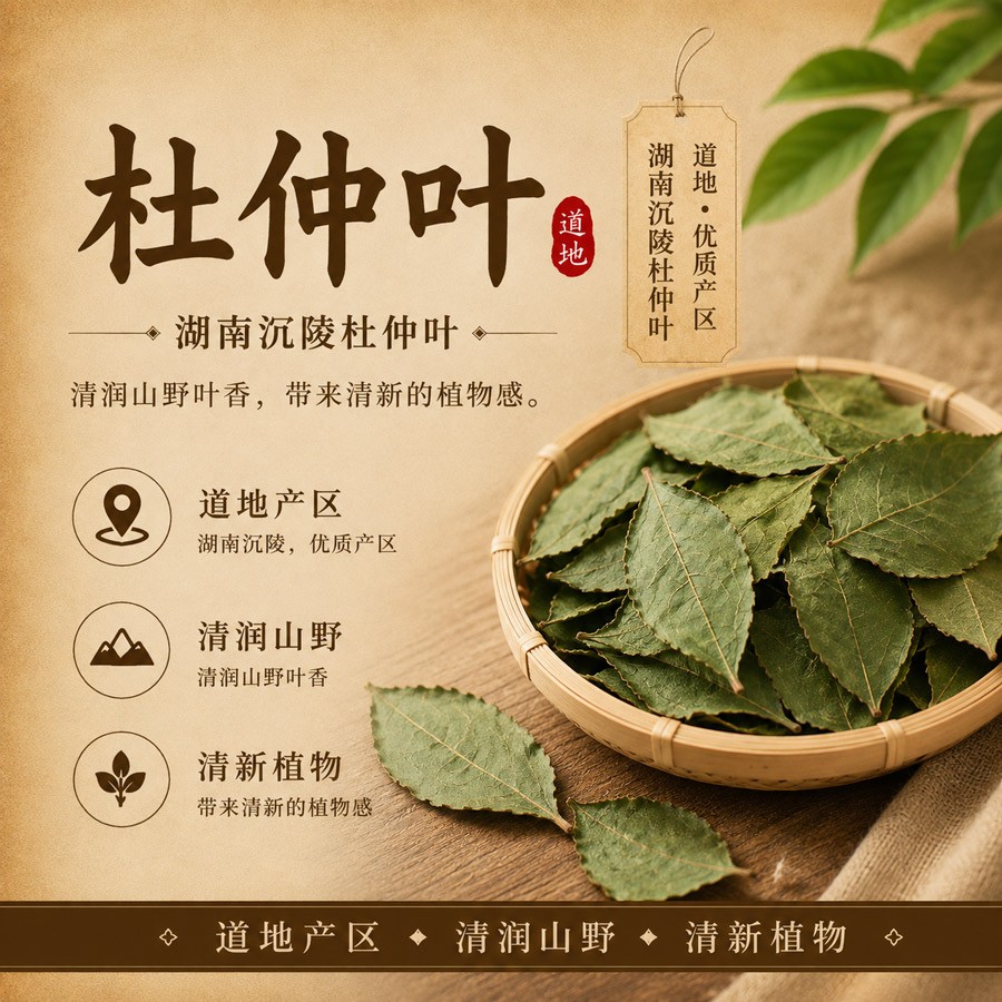 杜仲叶